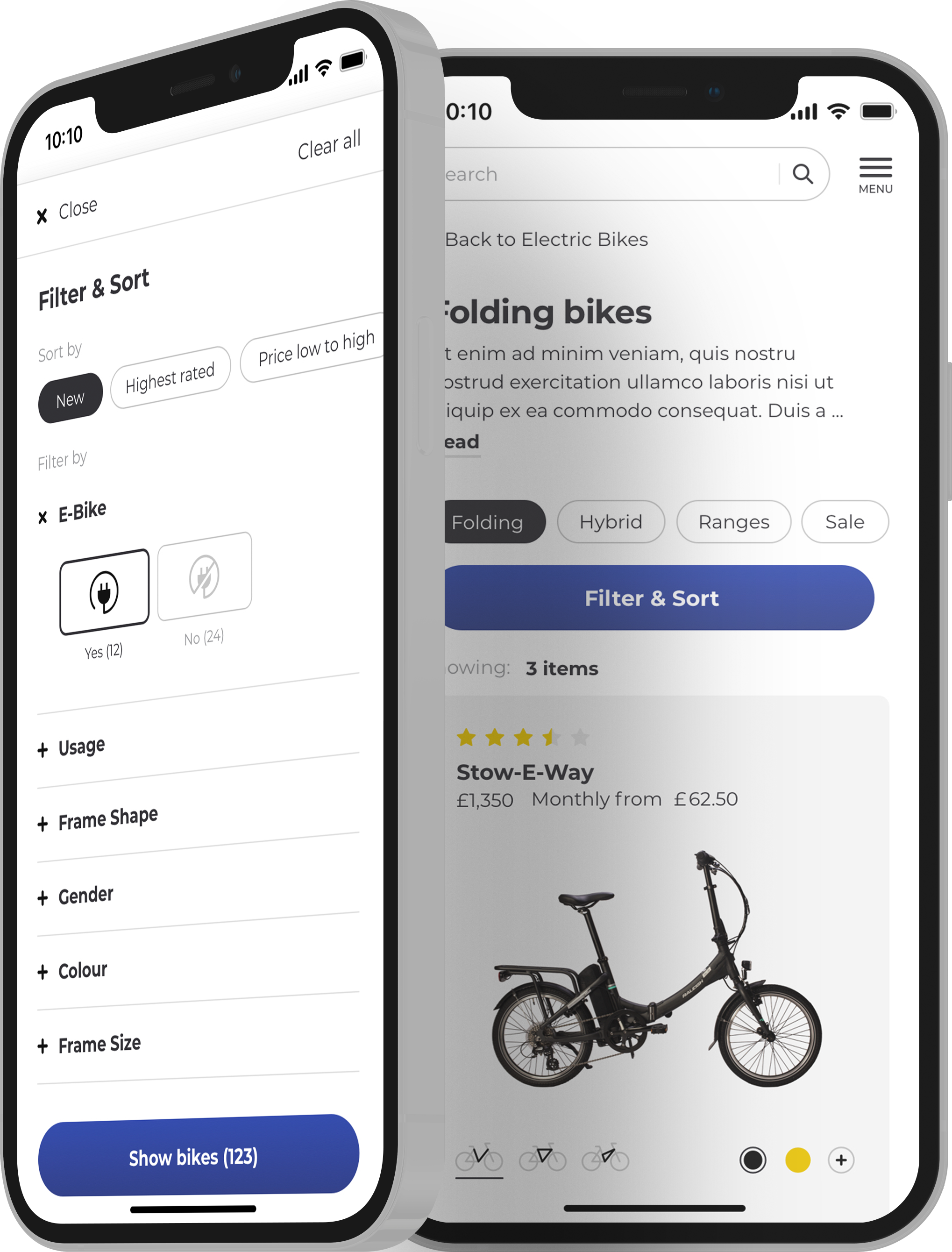 Raleigh bicycle storefront shown across desktop and mobile layouts.